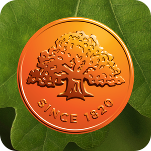 Payment Icon